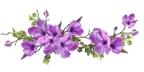 Ветка цветов