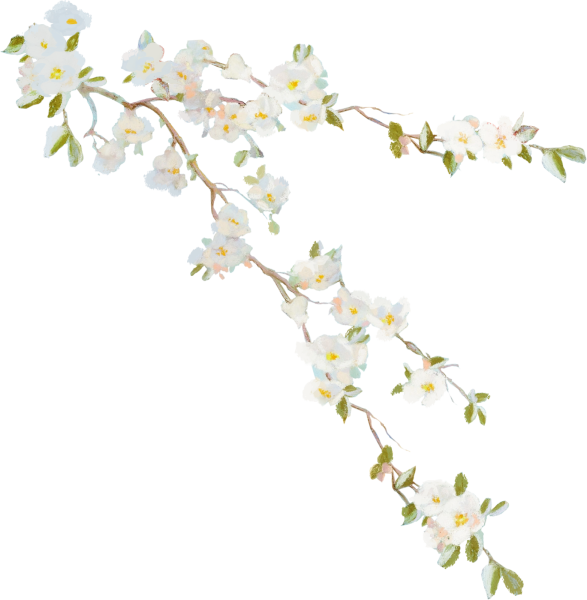 Ветка с цветами на белом фоне