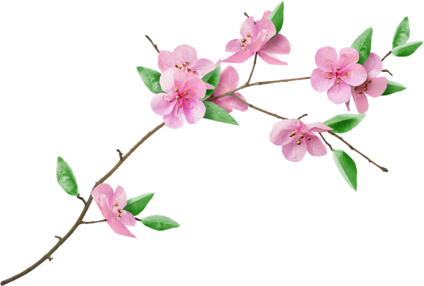 Красивая веточка