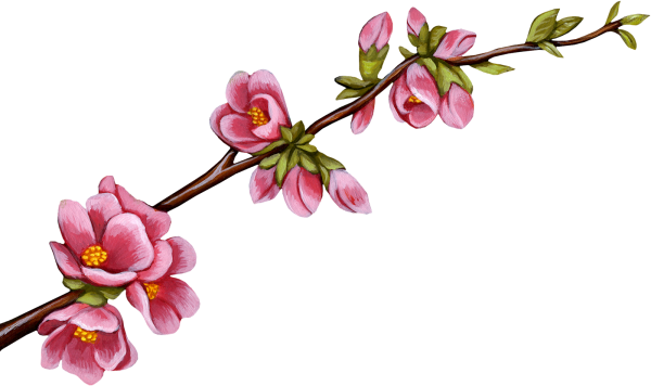 Ветка с цветочками