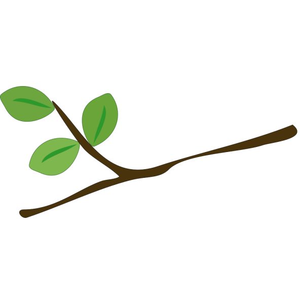 Веточка дерева