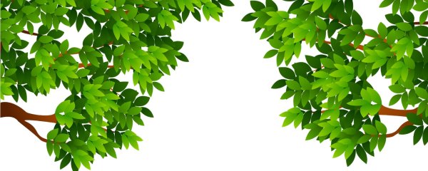 Ветка дерева мультяшная