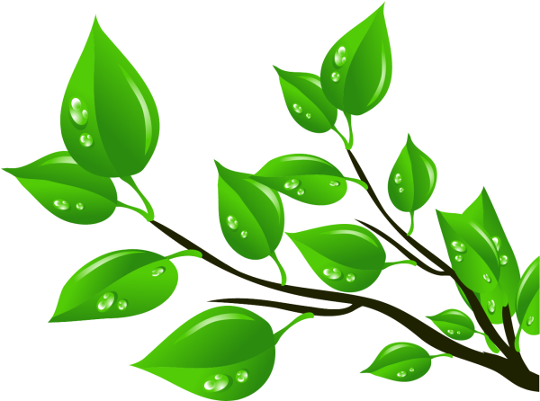 Зеленая веточка