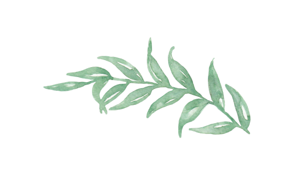 Зеленая веточка