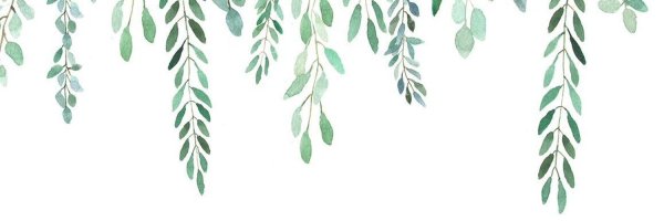 Акварельные листья на белом фоне