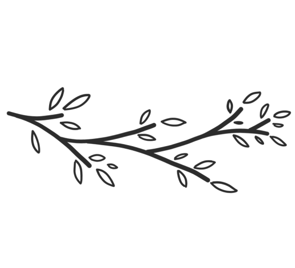 Красивая веточка