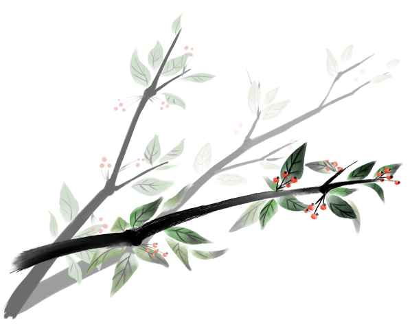 Акварельные веточки
