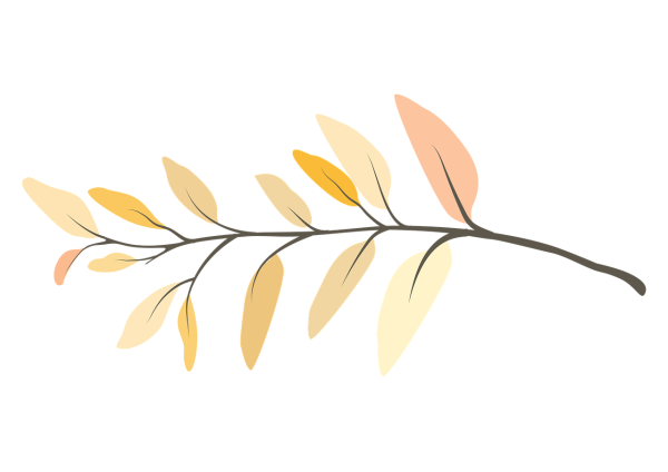 Ветка на белом фоне