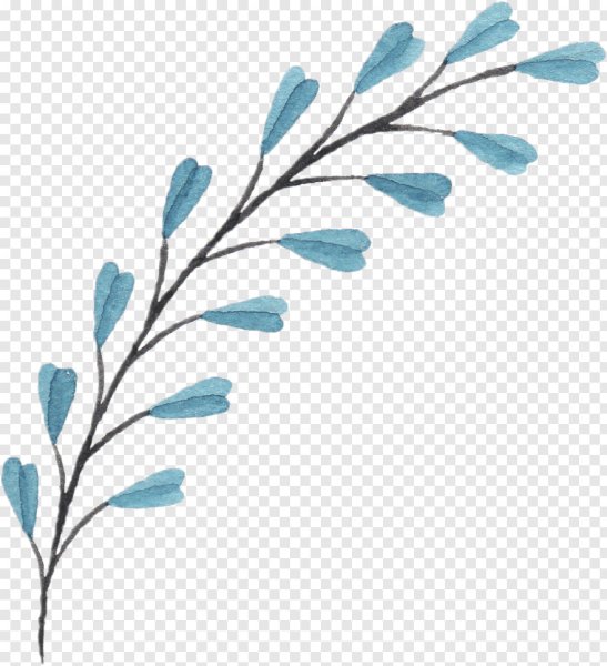 Акварельные веточки
