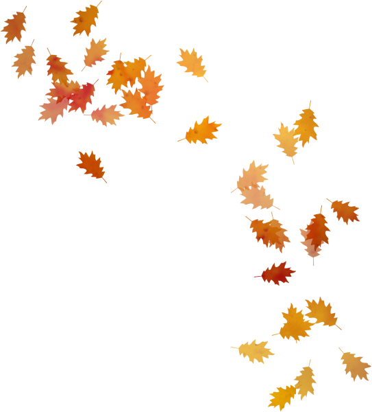 Падающие кленовые листья на прозрачном фоне