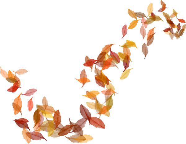 Листья летят