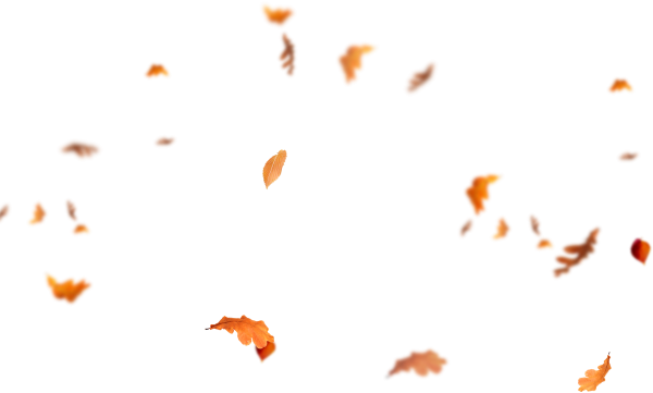 Спадающие листья на белом фоне