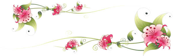 Виньетка цветы на прозрачном фоне