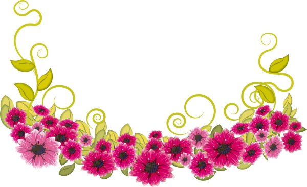 Цветы для оформления