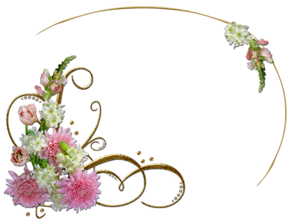 Виньетка цветы на прозрачном