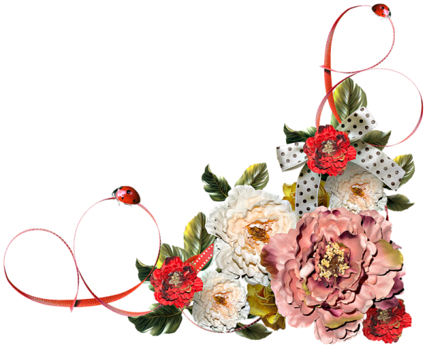 Лента из цветов на прозрачном фоне