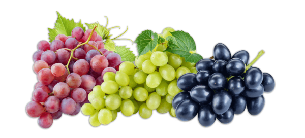 Гроздь винограда