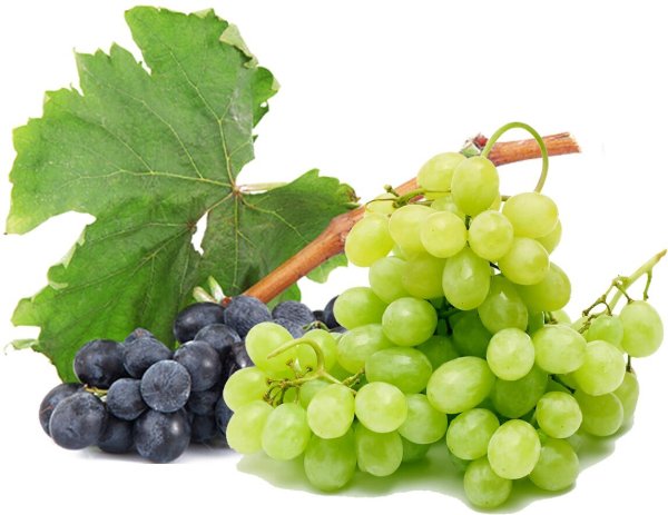 Виноград на белом фоне