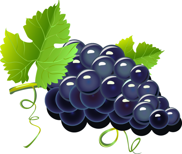 Виноград рисунок
