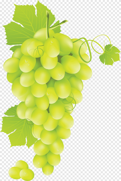 Green grape (зеленый виноград)