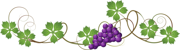 Виноградная лоза vector svg