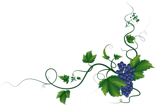 Виньетка Виноградная лоза