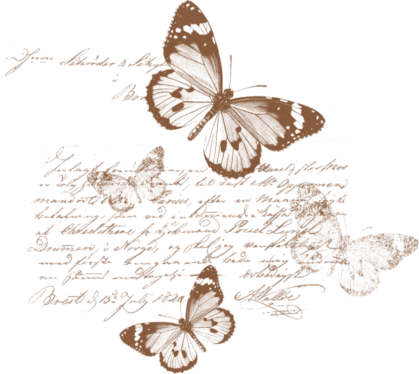 Бабочки Скрапбукинг