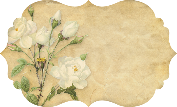 Винтажные этикетки для надписей