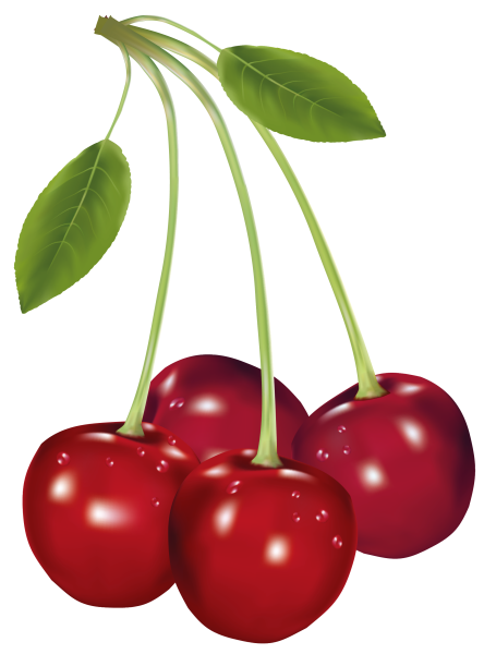 Вишня картинка