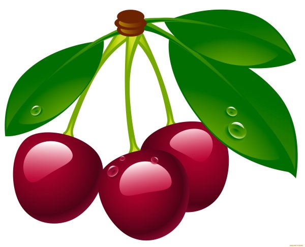 Вишня на белом фоне для детей