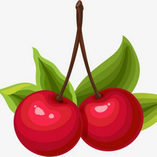 Дети Вишенки