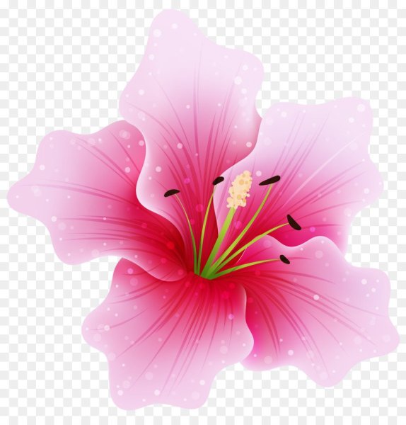 Цветы на прозрачном Фог