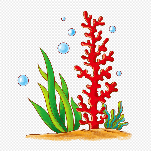 Морские водоросли для детей для оформления