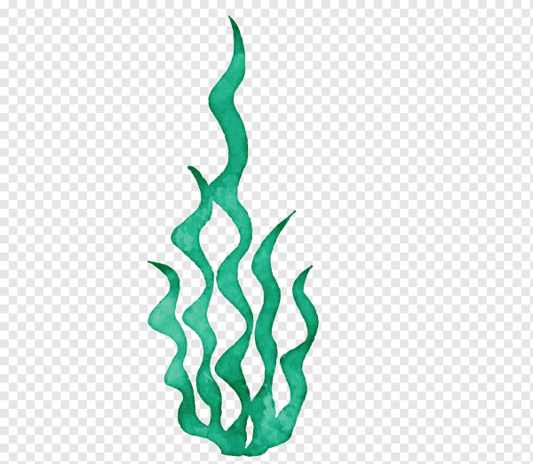 Морские водоросли вектор