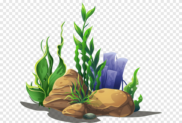 Мультяшные морские растения