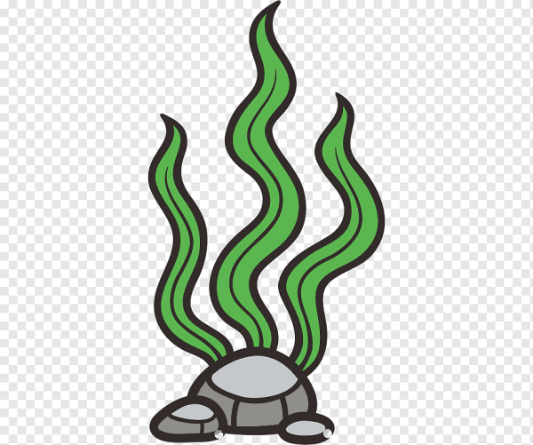 Водоросли мультяшные