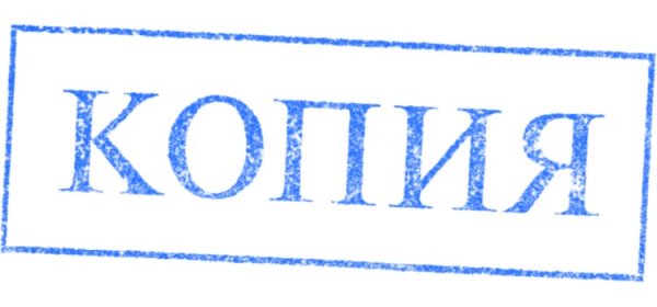 Печать дубликат