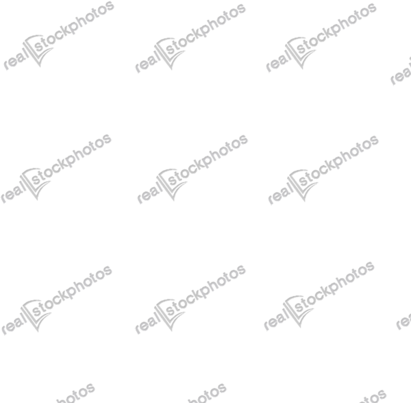 Водяной знак