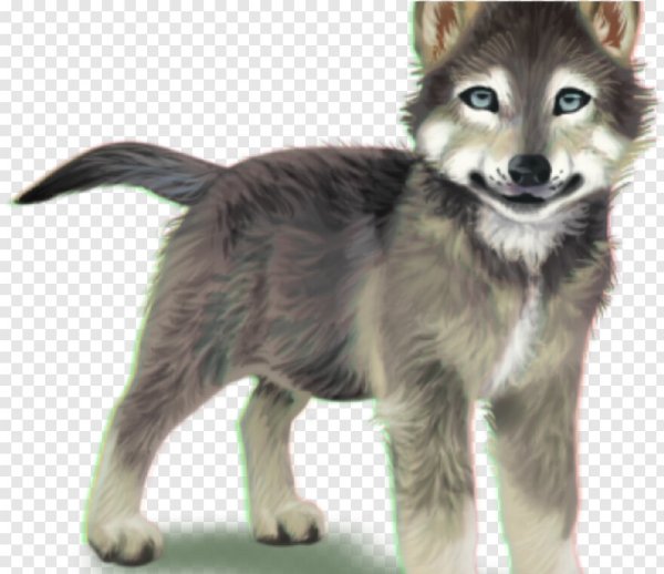 Изображение волчонка для детей