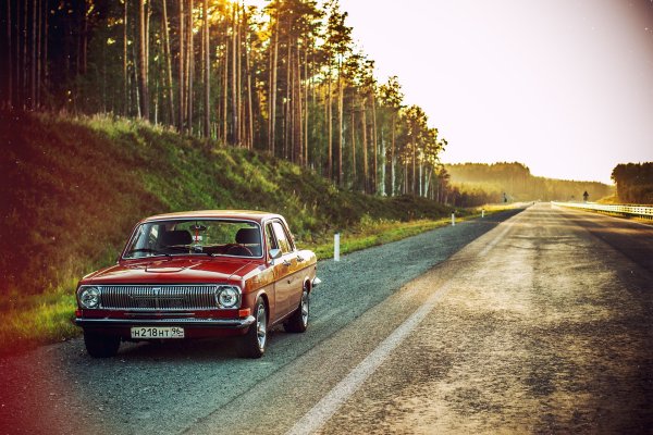 Волга 24 v8 Ford