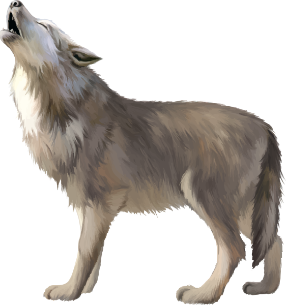 Волк клипарт