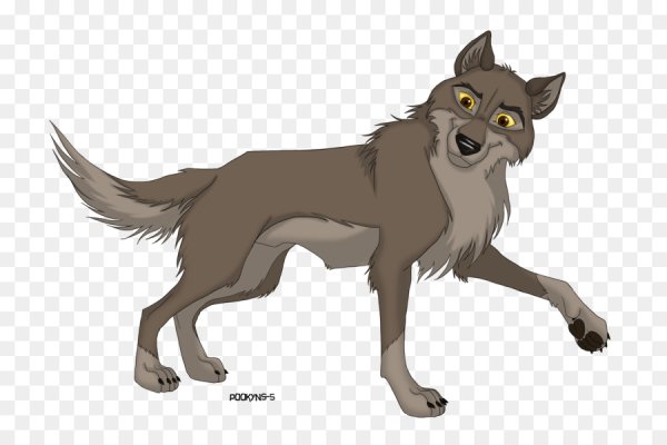 Балто серый волк