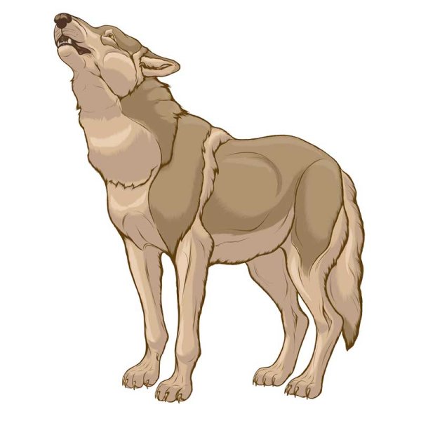 Волк воет иллюстрация для детей