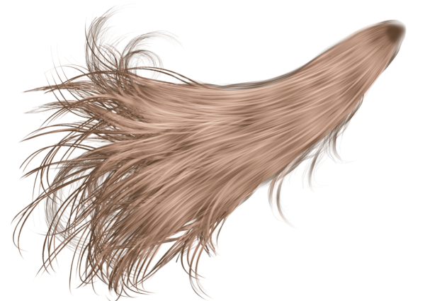 Пряди волос для фотошопа