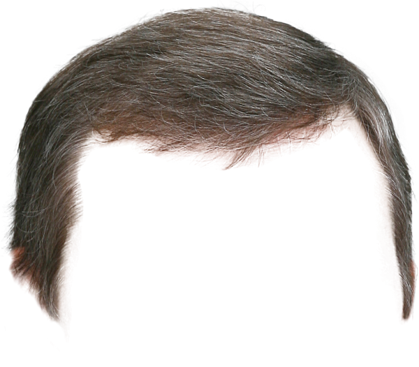 Парик на белом фоне мужской