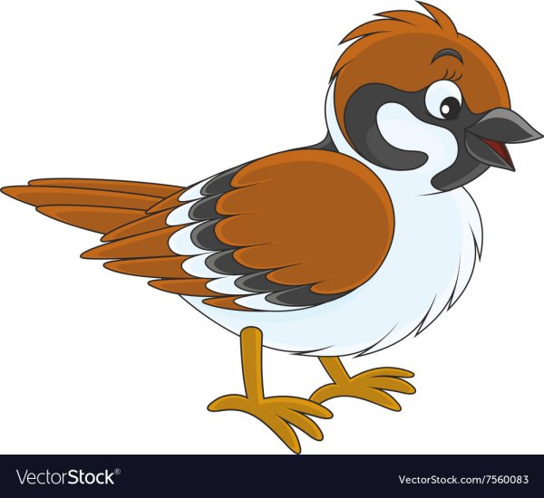 Воробьи мультяшные