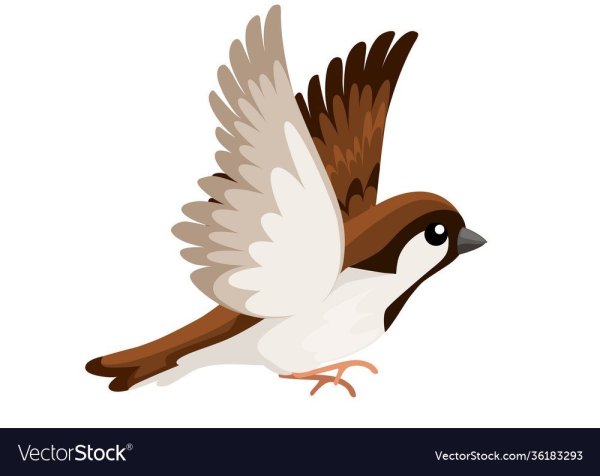 Воробей для детей