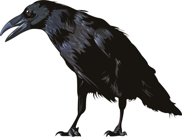 Ворон для детей