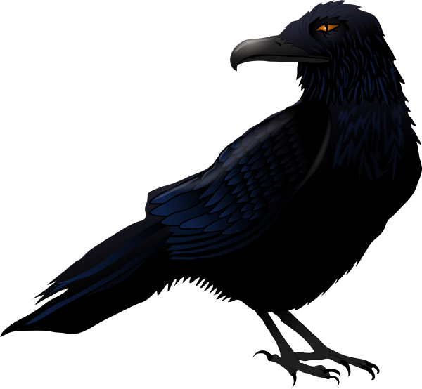 Ворона картинка на прозрачном фоне