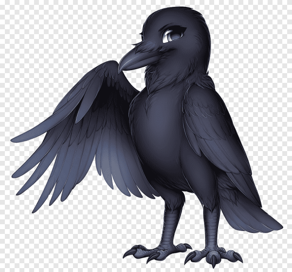 «Мудрый ворон»